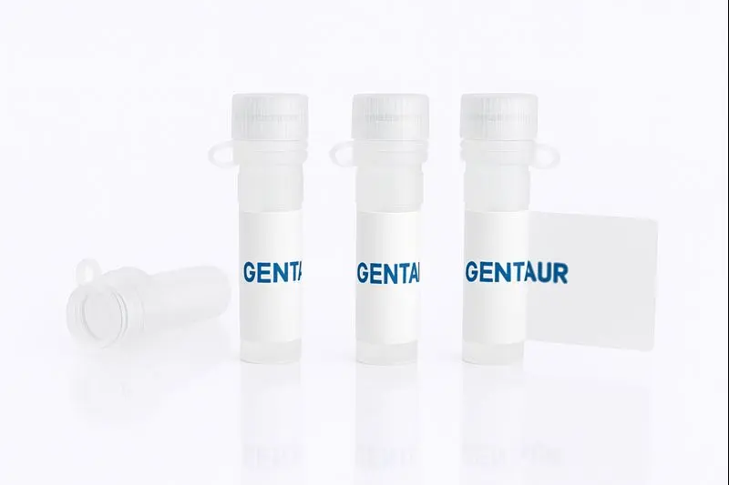 Euonymus europaeus Gel -EEA- Immobilized Lectin    pre- Packed in column with separate elution buffers and instruction booklet. 