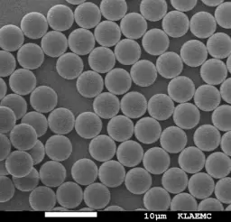 Red Fluorescent PS Magnetic Particles, 1 um-Biotin